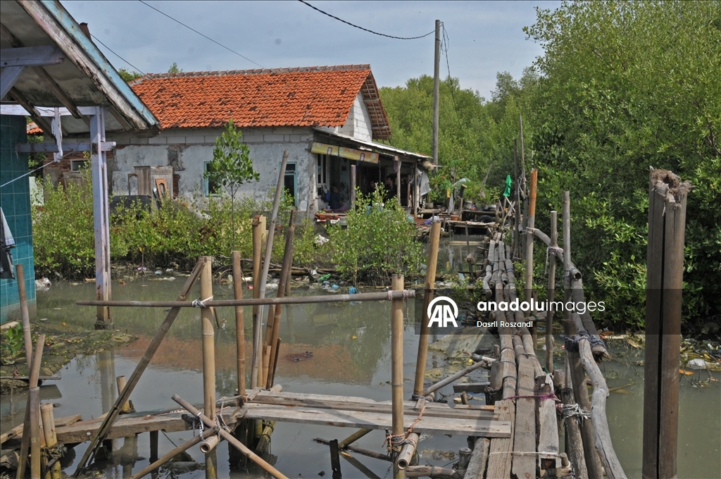 Endonezya'nın kuzey Java kıyı yerleşimlerinde gelgit seli yıkıma neden oldu