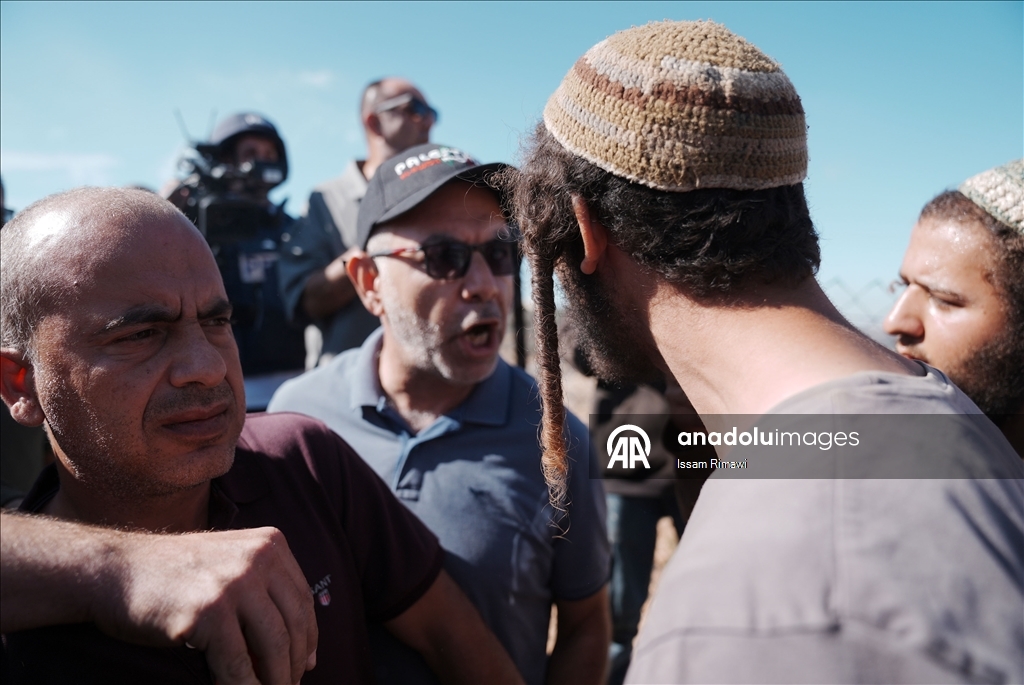 Filistin topraklarını gasbeden İsraillilerin Batı Şeria'da zeytin hasadı yapan çiftçilere yönelik saldırıları