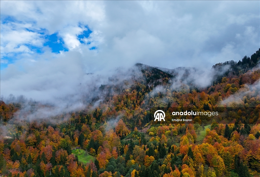 Осеннее великолепие лесов Тоньи в Трабзоне с высоты птичьего полёта