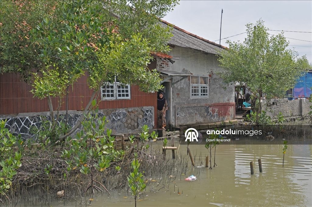 Endonezya'nın kuzey Java kıyı yerleşimlerinde gelgit seli yıkıma neden oldu