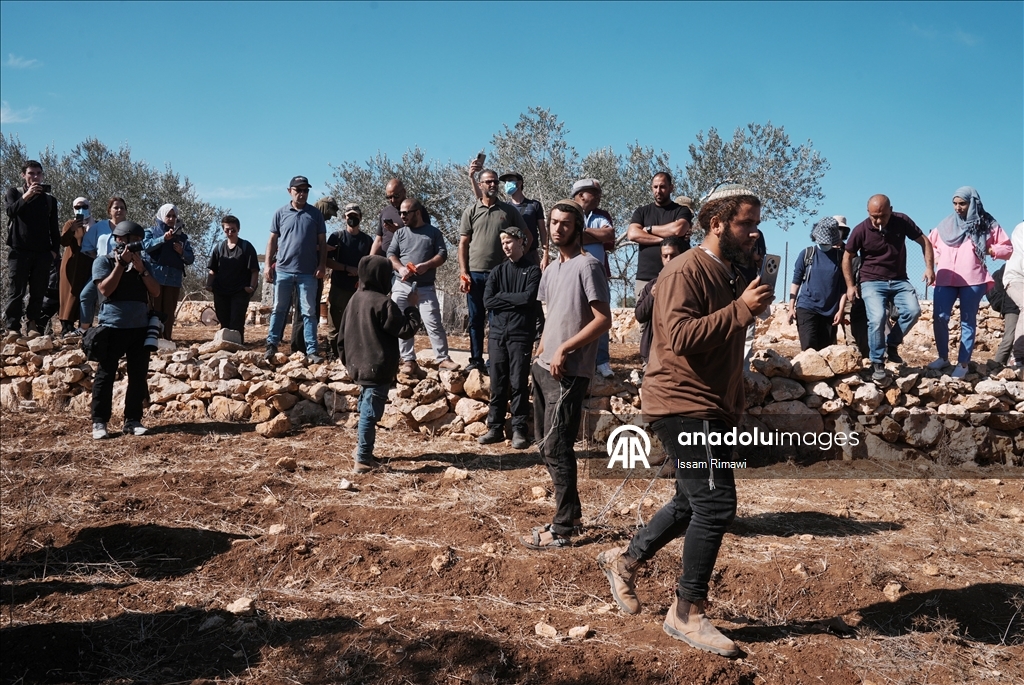 Filistin topraklarını gasbeden İsraillilerin Batı Şeria'da zeytin hasadı yapan çiftçilere yönelik saldırıları