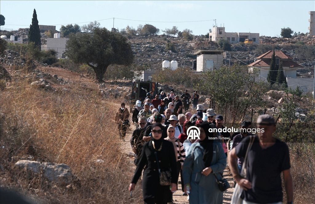Filistin topraklarını gasbeden İsraillilerin Batı Şeria'da zeytin hasadı yapan çiftçilere yönelik saldırıları