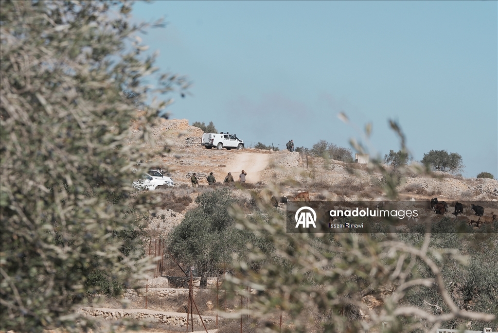 Filistin topraklarını gasbeden İsraillilerin Batı Şeria'da zeytin hasadı yapan çiftçilere yönelik saldırıları