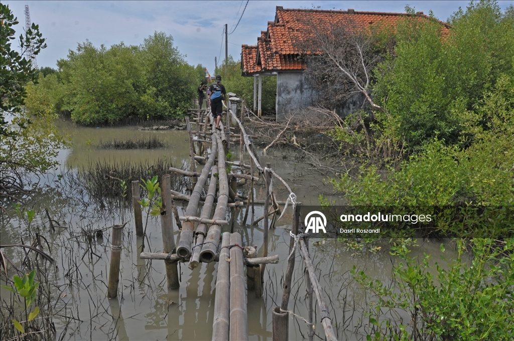Endonezya'nın kuzey Java kıyı yerleşimlerinde gelgit seli yıkıma neden oldu