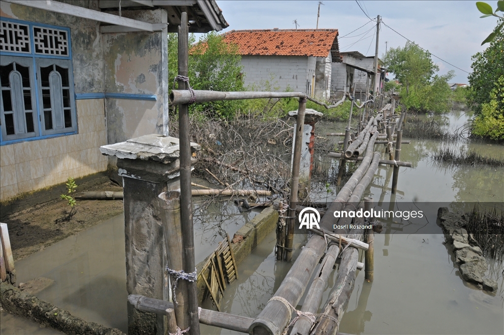 Endonezya'nın kuzey Java kıyı yerleşimlerinde gelgit seli yıkıma neden oldu