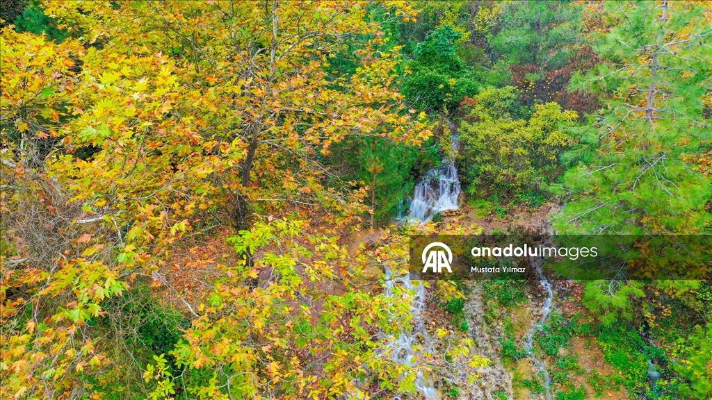 Depremle yeniden akmaya başlayan pınar, bahçeleri yeşertecek