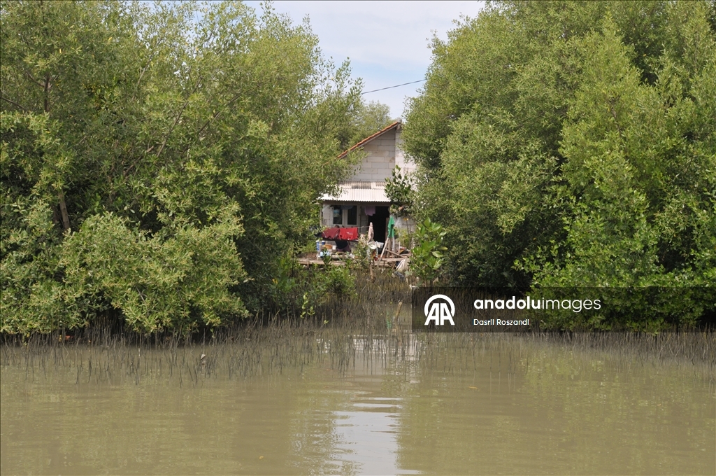 Endonezya'nın kuzey Java kıyı yerleşimlerinde gelgit seli yıkıma neden oldu