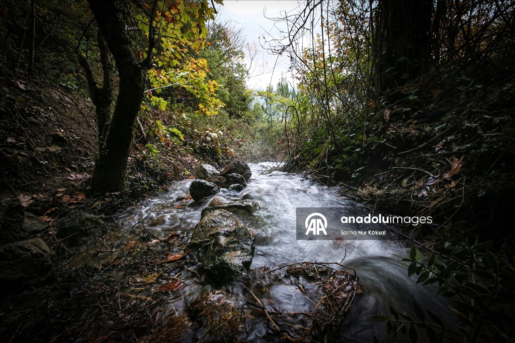Depremle yeniden akmaya başlayan pınar bahçeleri yeşertecek
