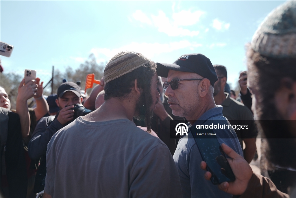 Filistin topraklarını gasbeden İsraillilerin Batı Şeria'da zeytin hasadı yapan çiftçilere yönelik saldırıları
