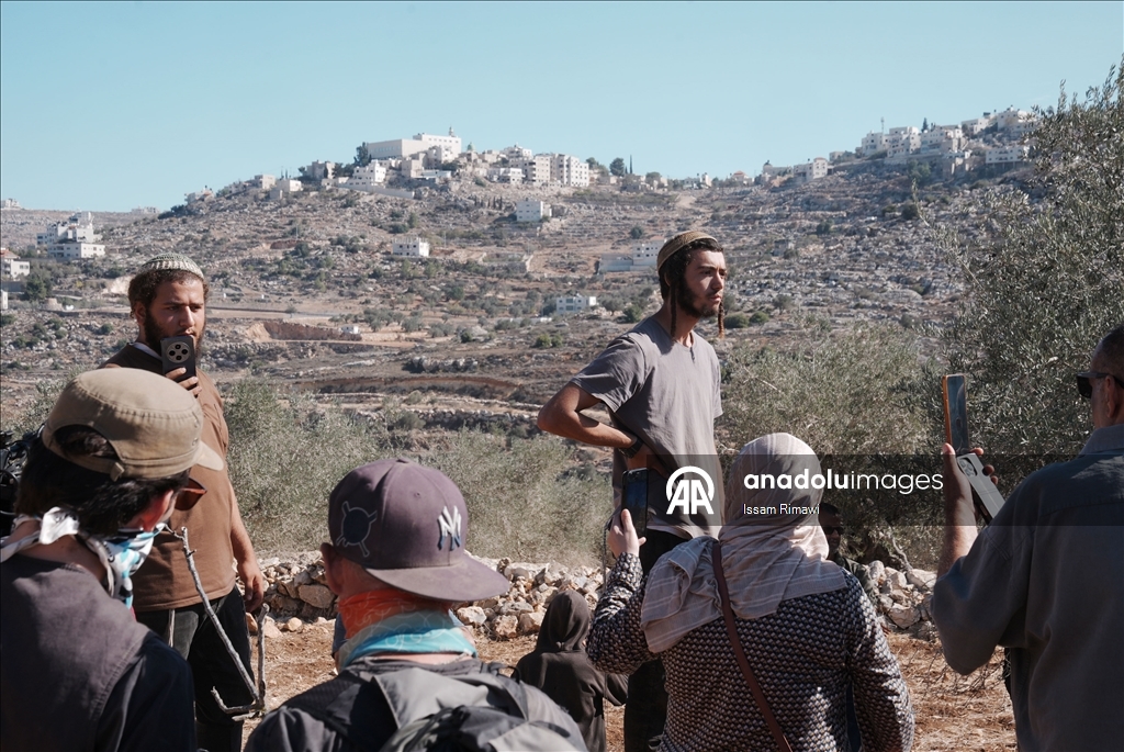 Filistin topraklarını gasbeden İsraillilerin Batı Şeria'da zeytin hasadı yapan çiftçilere yönelik saldırıları