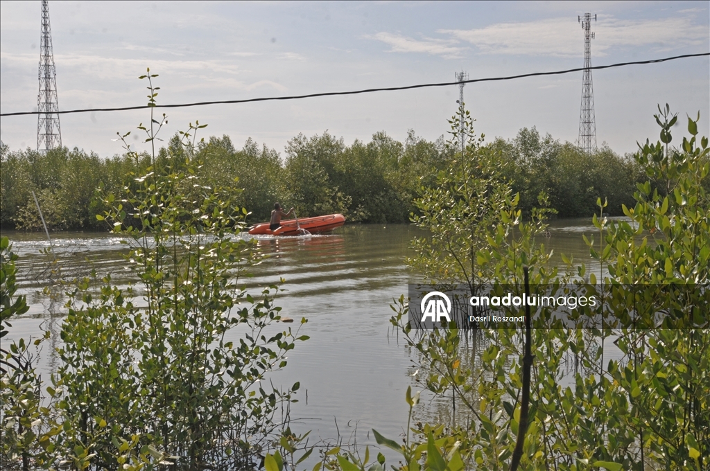 Endonezya'nın kuzey Java kıyı yerleşimlerinde gelgit seli yıkıma neden oldu