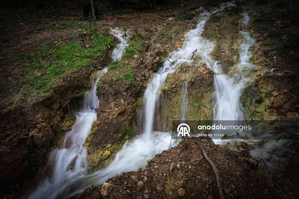Depremle yeniden akmaya başlayan pınar bahçeleri yeşertecek