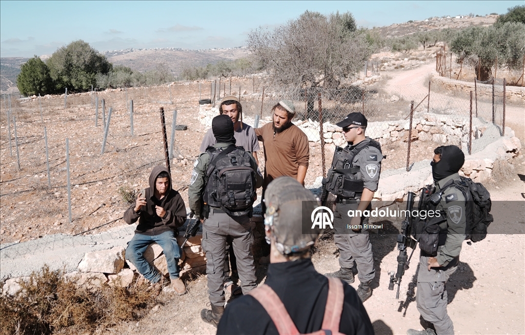 الضفة.. مستوطنون إسرائيليون يعيقون عمل قاطفي الزيتون في رام الله