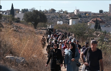 الضفة.. مستوطنون إسرائيليون يعيقون عمل قاطفي الزيتون في رام الله