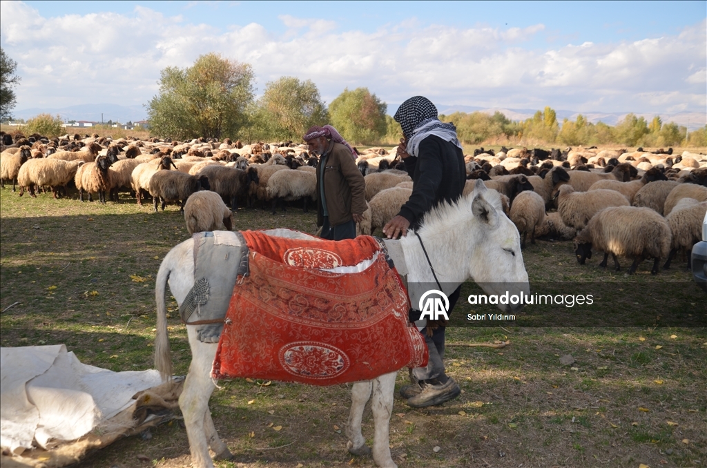 Dagêra koçeran a ji zozanan dewam dike