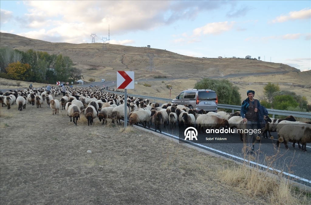 Göçerlerin yaylalardan dönüş yolculuğu sürüyor