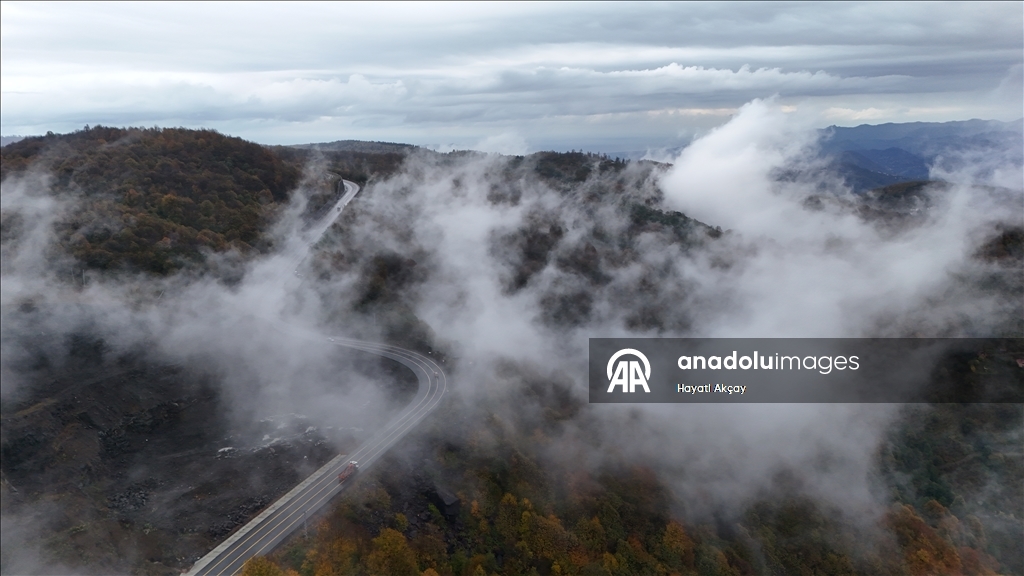 Ordu'da etkili olan sis sonbahar renkleriyle güzel görüntü oluşturdu