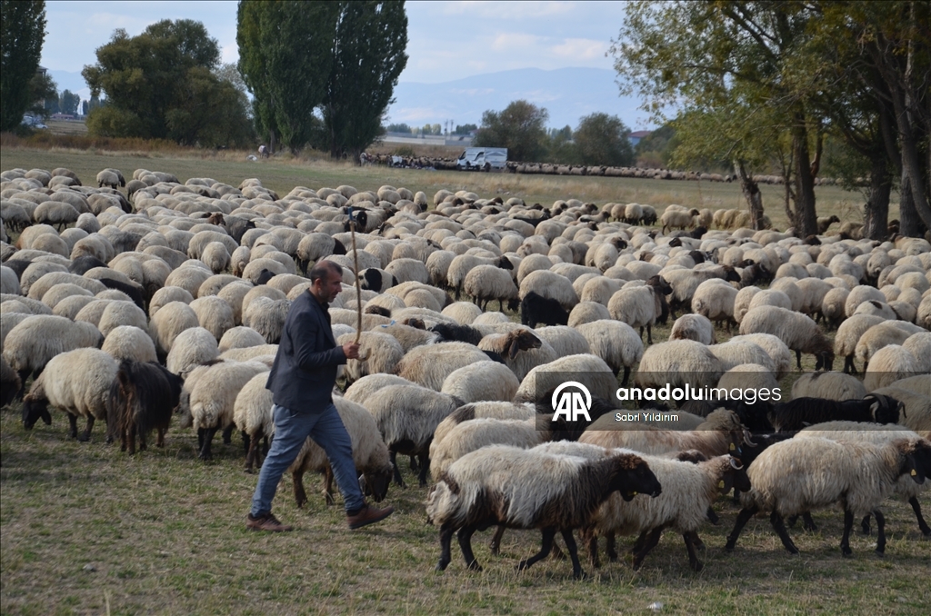 Dagêra koçeran a ji zozanan dewam dike