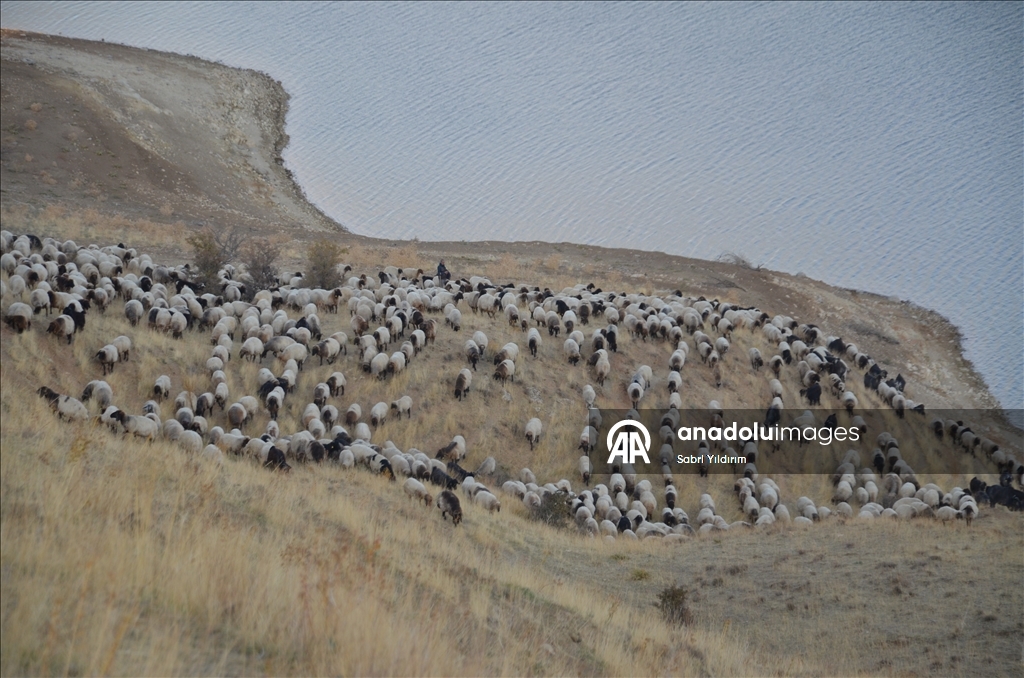 Dagêra koçeran a ji zozanan dewam dike