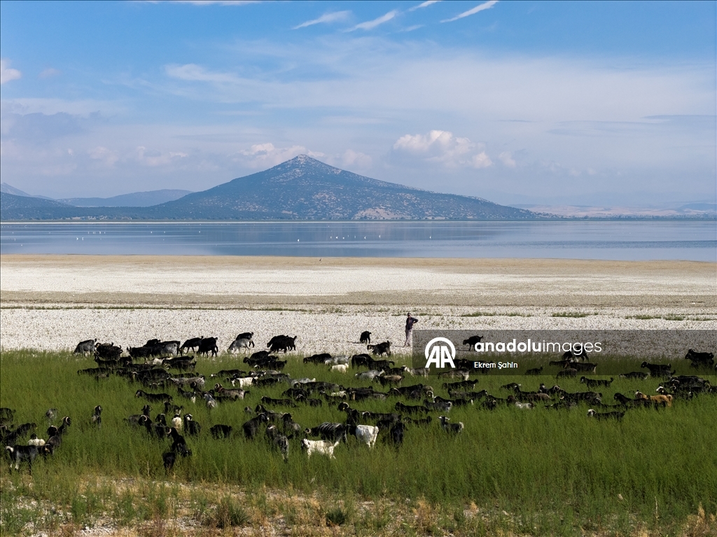 В результате снижения уровня воды в озере Эгирдир появились новые острова