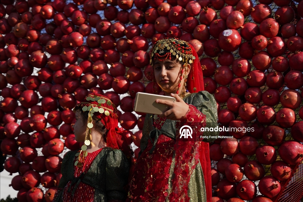 11th Pomegranate Festival kicks off in Iraq’s Halabja