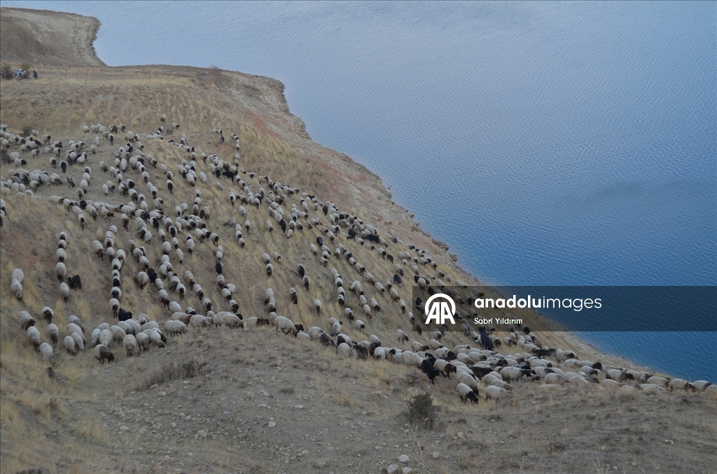 Göçerlerin yaylalardan dönüş yolculuğu sürüyor