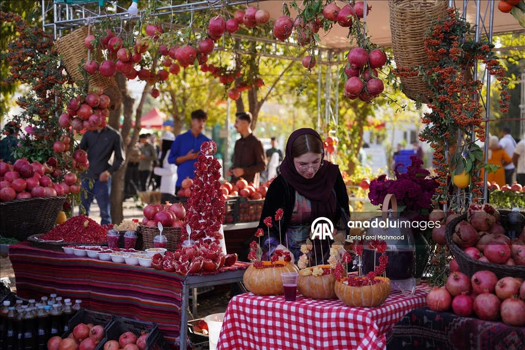 11th Pomegranate Festival kicks off in Iraq’s Halabja
