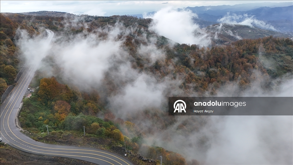 Ordu'da etkili olan sis sonbahar renkleriyle güzel görüntü oluşturdu