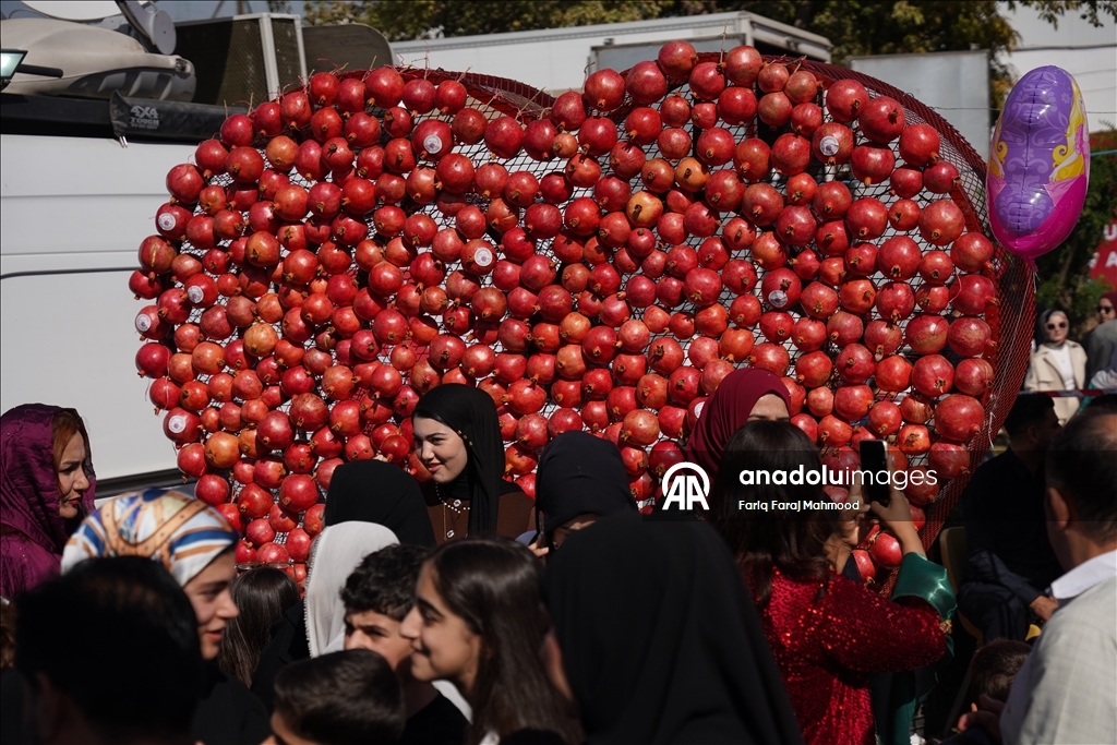 11th Pomegranate Festival kicks off in Iraq’s Halabja