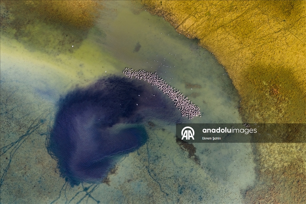 В результате снижения уровня воды в озере Эгирдир появились новые острова