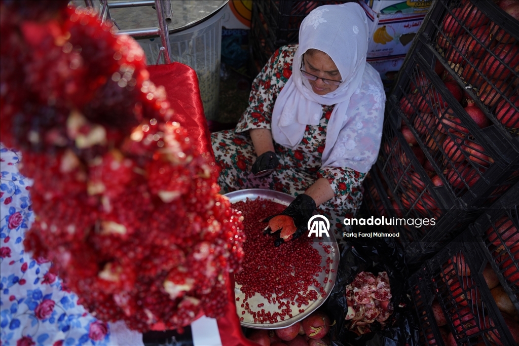 11th Pomegranate Festival kicks off in Iraq’s Halabja