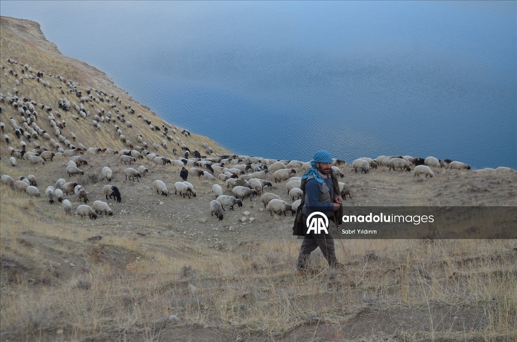 Göçerlerin yaylalardan dönüş yolculuğu sürüyor