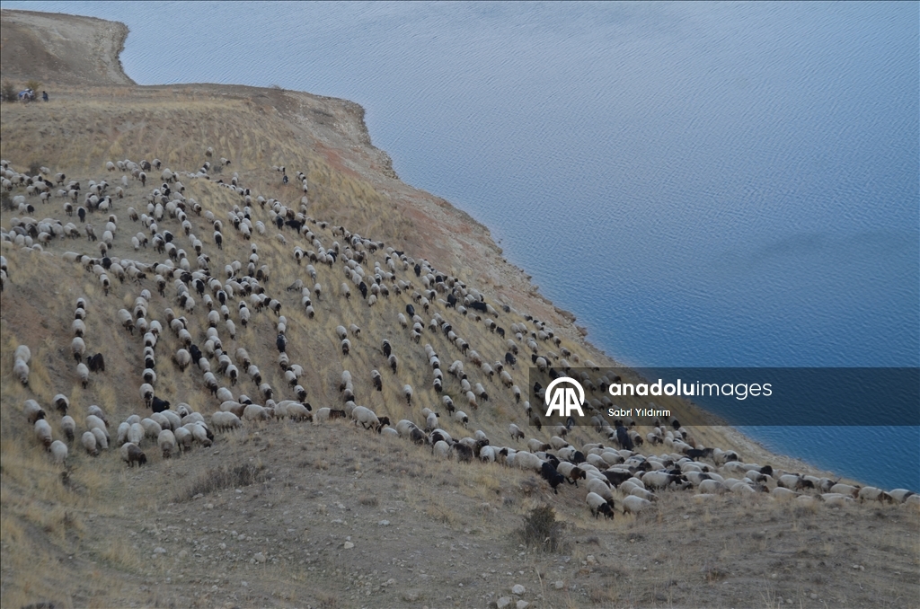 Dagêra koçeran a ji zozanan dewam dike