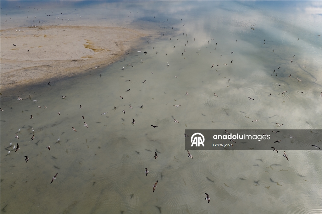 В результате снижения уровня воды в озере Эгирдир появились новые острова