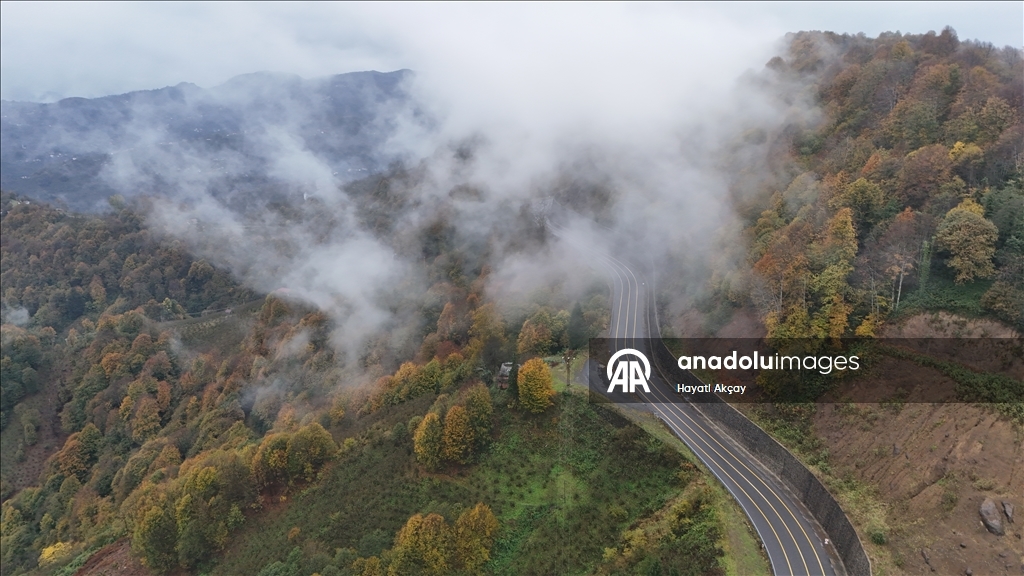 Ordu'da etkili olan sis sonbahar renkleriyle güzel görüntü oluşturdu