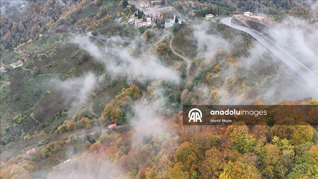 Ordu'da etkili olan sis sonbahar renkleriyle güzel görüntü oluşturdu