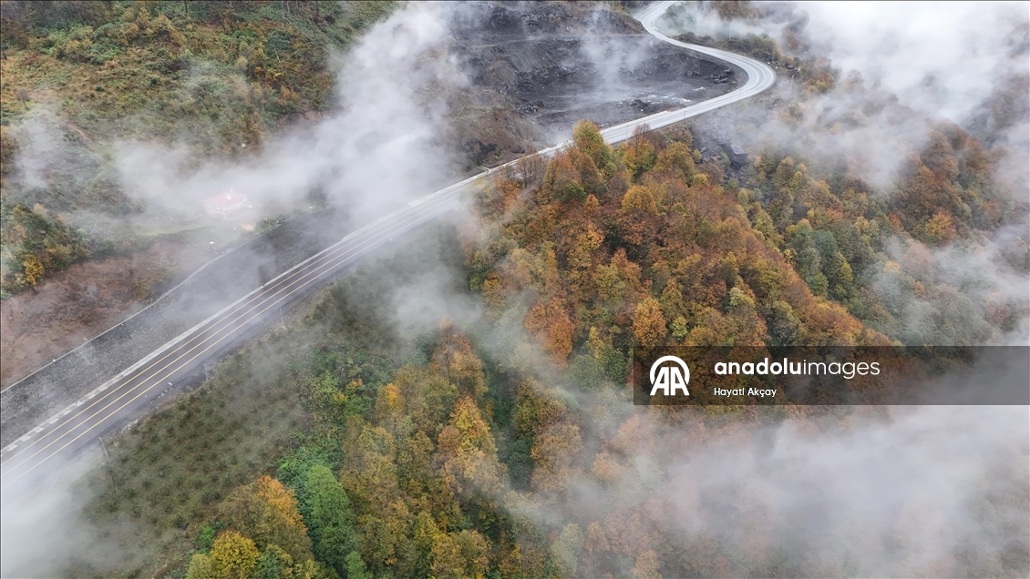 Ordu'da etkili olan sis sonbahar renkleriyle güzel görüntü oluşturdu