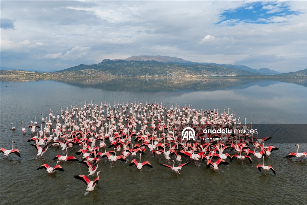 Eğirdir Gölü’nde su seviyesinin düşmesiyle yeni adalar ortaya çıktı