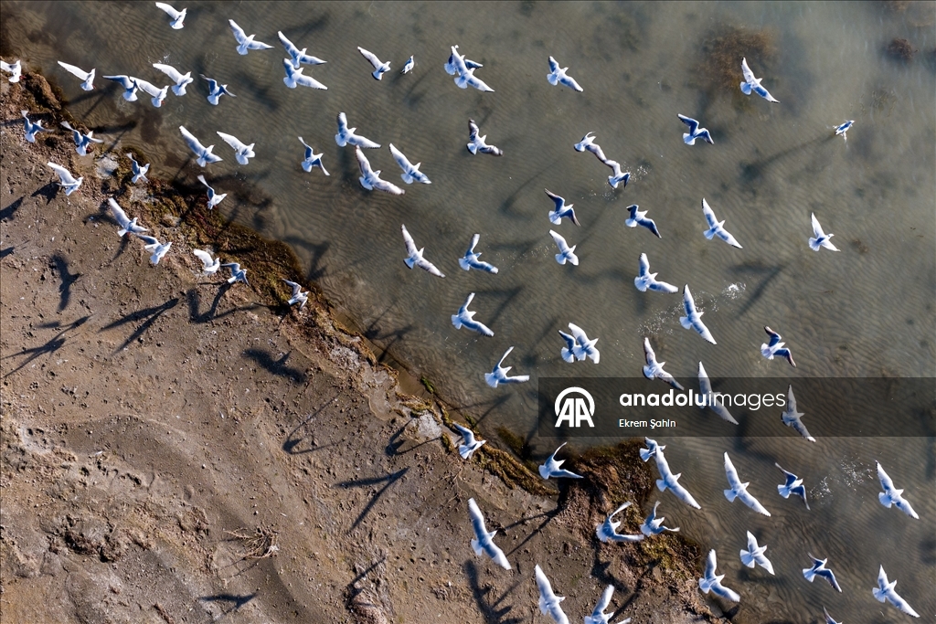 Eğirdir Gölü’nde su seviyesinin düşmesiyle yeni adalar ortaya çıktı