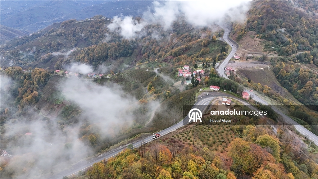Ordu'da etkili olan sis sonbahar renkleriyle güzel görüntü oluşturdu