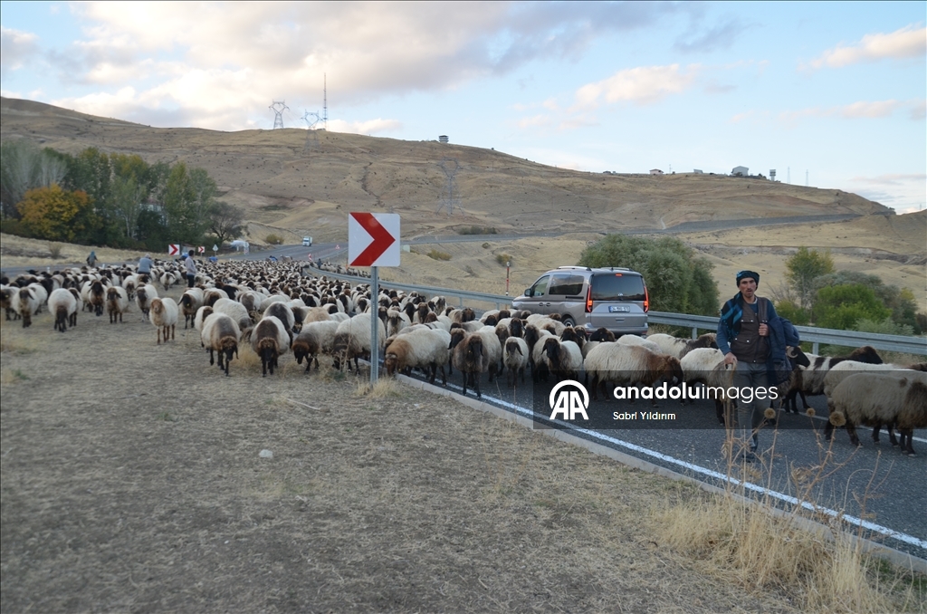 Dagêra koçeran a ji zozanan dewam dike