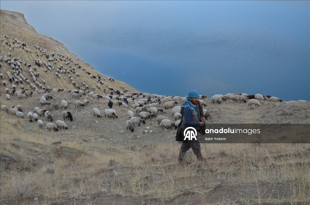 Dagêra koçeran a ji zozanan dewam dike