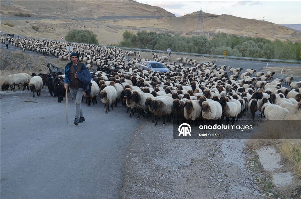 Dagêra koçeran a ji zozanan dewam dike
