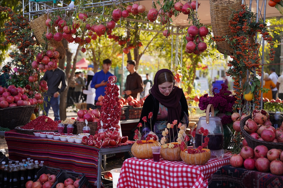11th Pomegranate Festival kicks off in Iraq’s Halabja