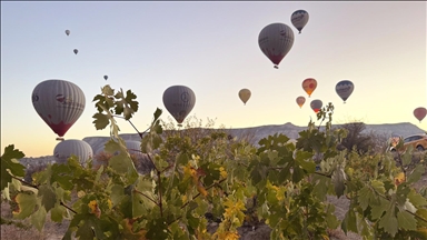 Sonbahar manzaraları Kapadokya'ya renk kattı