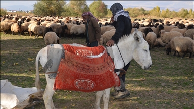 Göçerlerin yaylalardan dönüş yolculuğu sürüyor