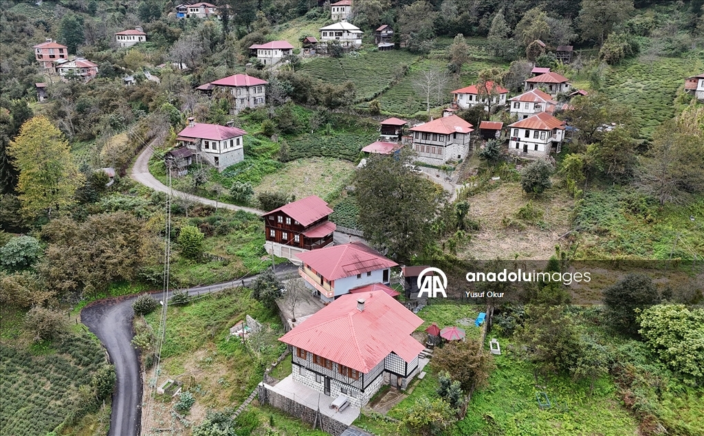 Kestane ağacından yapılan tescilli evler Arılı köyüne ziyaretçi çekiyor