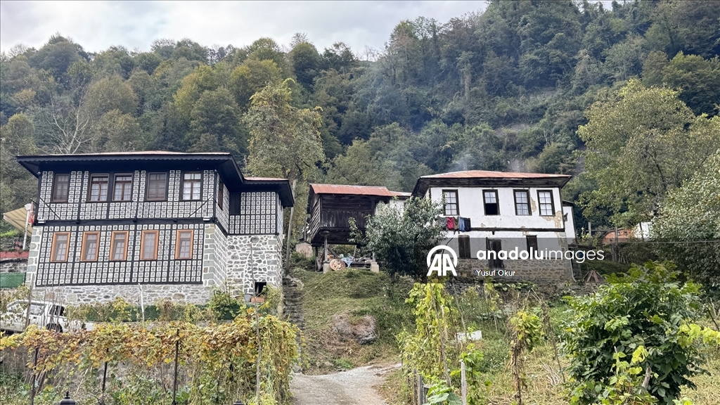 Kestane ağacından yapılan tescilli evler Arılı köyüne ziyaretçi çekiyor