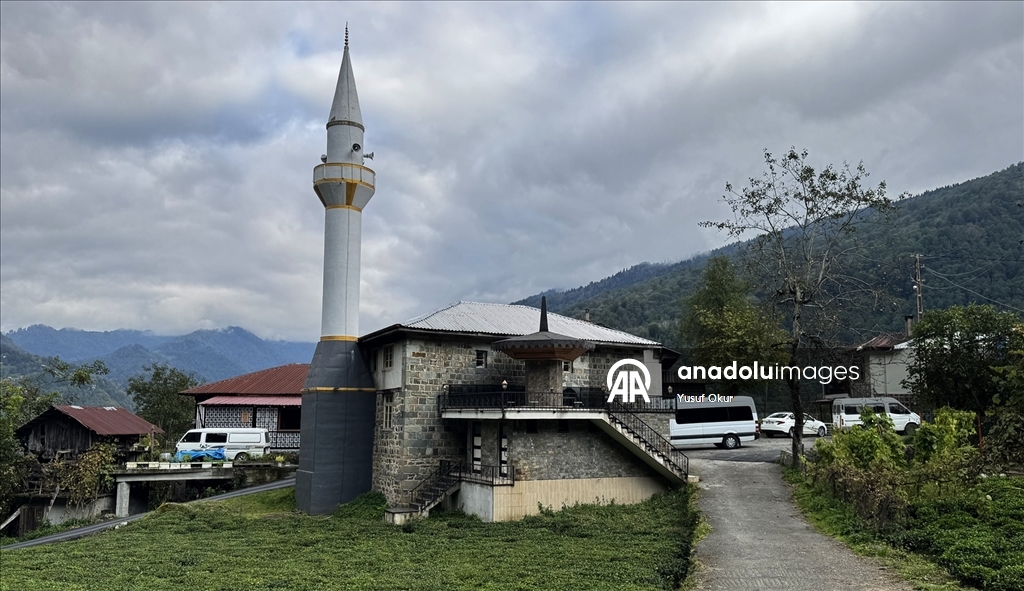 Kestane ağacından yapılan tescilli evler Arılı köyüne ziyaretçi çekiyor