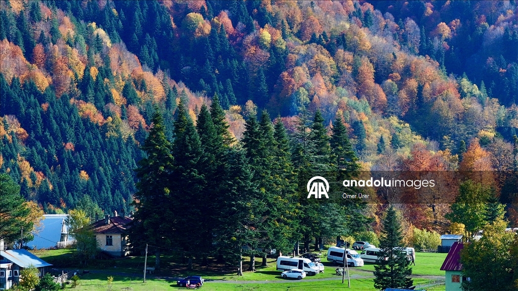 الخريف يرسم لوحته في مرتفعات دوزجة التركية